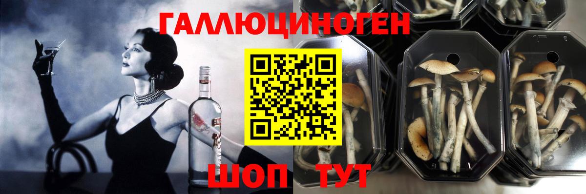 Псилоцибиновые грибы мицелий  Вход с VPN  Воронеж  Псилоцибиновые грибы мухоморы 